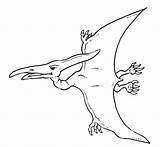 Pteranodon Dinosaurs Dinosaur Coloring Pages Flying Drawing Kids Printable Colouring Crafts Sheets Getdrawings Print Color Activities Printables Ausmalen Dinosaurier Altervista sketch template