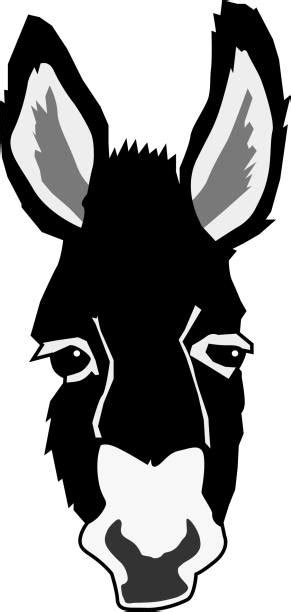 donkey head illustrations royalty  vector graphics clip art istock