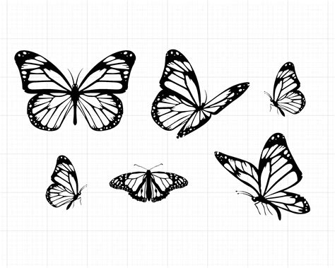 pin  alexus ledesma  tattoos   love   butterfly