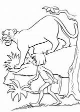 Jungle Mowgli Bezoeken Kleurplaten Bagheera sketch template