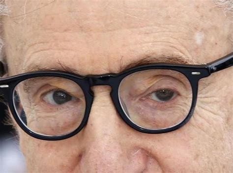 Woody Allen Sex Abuse Scandal Susan Sarandon Slams Legendary Director