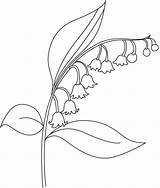 Flower Bellflower Drawing Coloring Beautiful Pages Outline Flowers Kids Easy Realistic Bestcoloringpages Embroidery Drawings Visit Choose Board sketch template