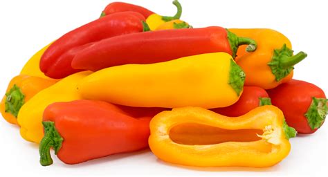 bell peppers mix mini sweet information recipes  facts