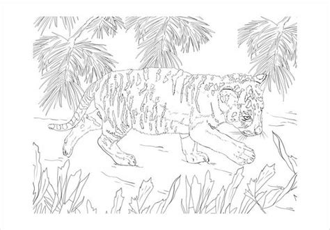 tiger coloring pages  ai