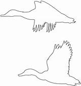 Silhouettes Outline Mallard Fliegende Silhouetten Stockenten Ducks Drucken Kontur Vektoren sketch template
