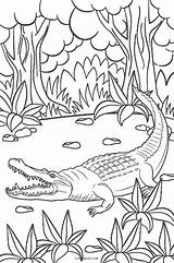 Coloring Pages Alligator Kids Printable Baby Cool2bkids Color Cute Print Getdrawings Getcolorings Crocodile Colorings sketch template