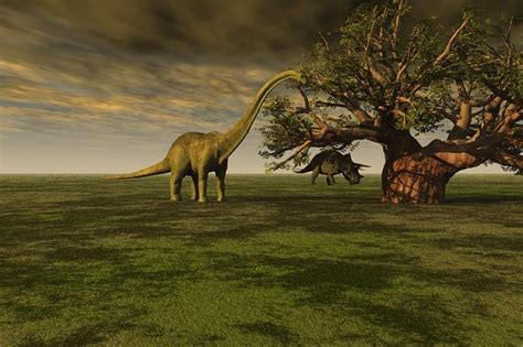 illustration prehistoric history extinct  image