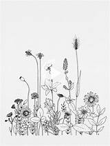 Wildflower Wildflowers Wildbloom Blumen Skizze Skizzen Patroon Schouder Kreidestift Sketching Society6 Deko Malt Vogel Doodles sketch template