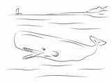 Whale Sperm Coloring Template Pages sketch template