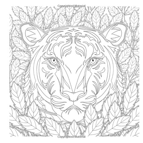 amazoncom national geographic magnificent animals  coloring book