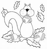 Squirrel Acorn Herbst Eat Sheets Scaredy Ausmalbilder Malvorlagen Colorare sketch template