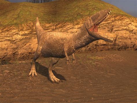 Carcharodontosaurus Sauropedia Wiki Fandom Powered By Wikia