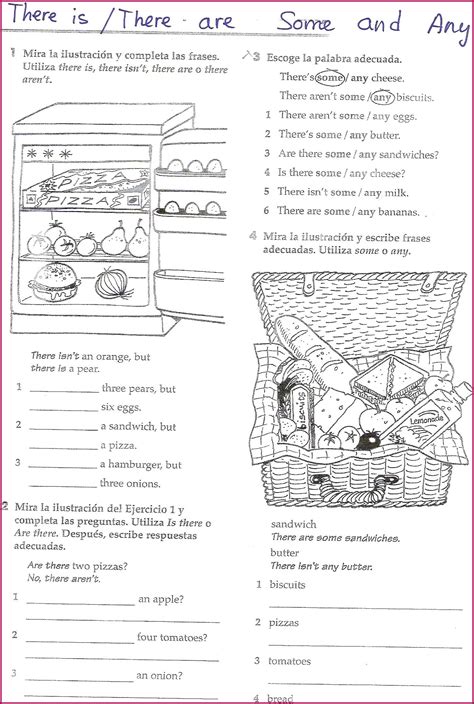 printable english  spanish worksheets worksheet resume examples