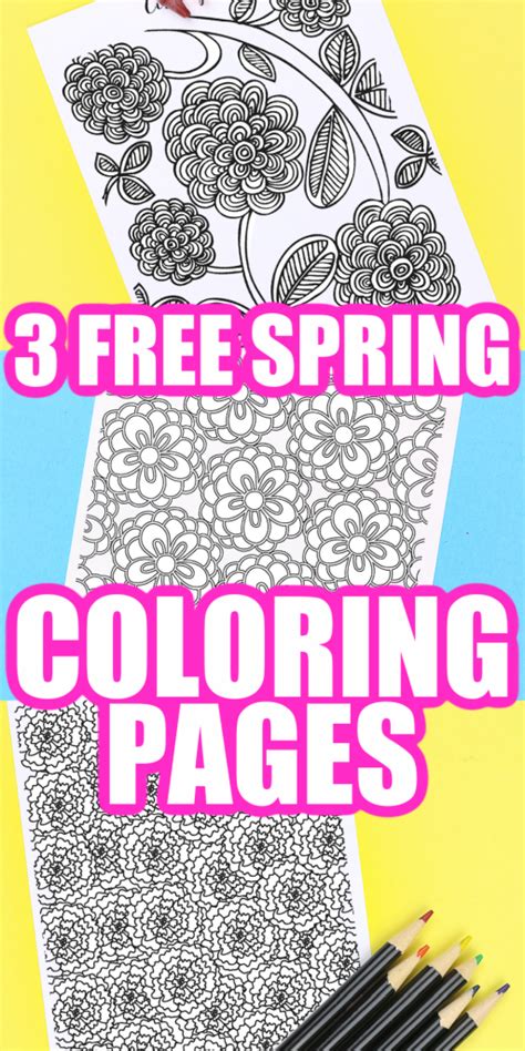 spring coloring pages  adults angie holden  country chic