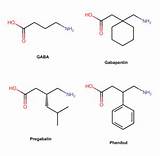 Gabapentin Pregabalin Chemical Gaba Wikipedia Other Phenibut Structures Two sketch template