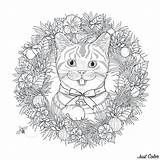 Facile Mignon Chaton Adulte Mandalas Katzen Chats Coloriages Gatti Erwachsene Adultes Adulti Adultos Malbuch Difficiles Justcolor Couronne Fleurie Colorier Stampare sketch template