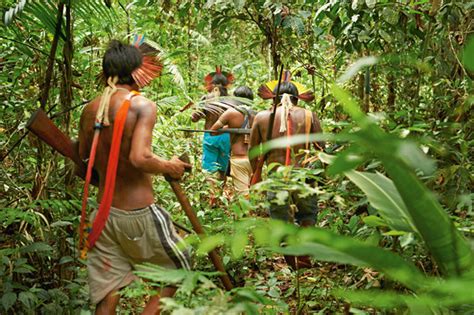 アマゾンの闘う先住民 カヤポ ナショナル ジオグラフィック日本版サイト