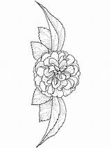 Coloring Pages Camellia Flower Flowers Print Recommended Printable sketch template