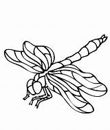 Dragonfly Libellule Dragonflies Coloringtop Insect Colouring Coloriages Getcolorings sketch template