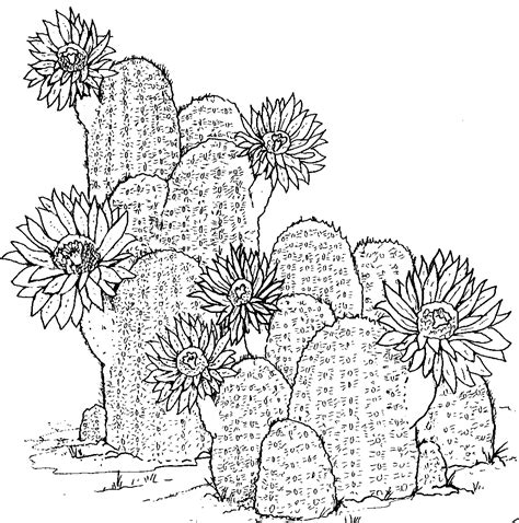 printable cactus printable word searches