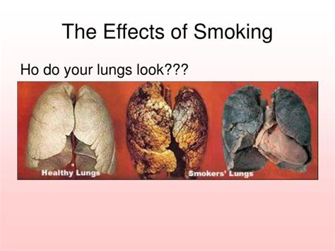 ppt the effects of smoking powerpoint presentation free download