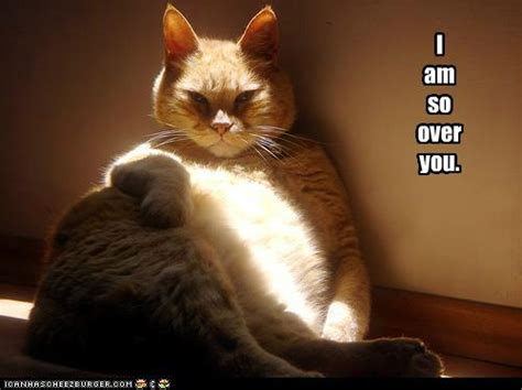 I Am So Over You Cheezburger Funny Memes Funny Pictures