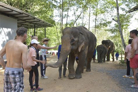 thailand koh samui elephant spa experience  day  travelog