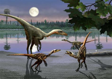 troodon paleontology world