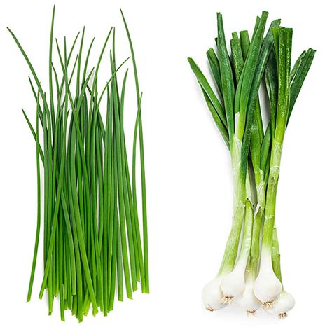 chives  green onions eatingwell