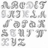 Letters Embroider Alphabets sketch template