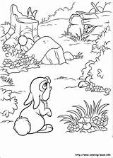 Bunnies Coloriage Ausmalbilder Colorat Iepurasi Animale Pintar Coloriages Malvorlagen Conejos Bambi Coloriez Pobarvanke Tatakiki Planse Coelhinhos Colorier Result Choisis Rabbit sketch template