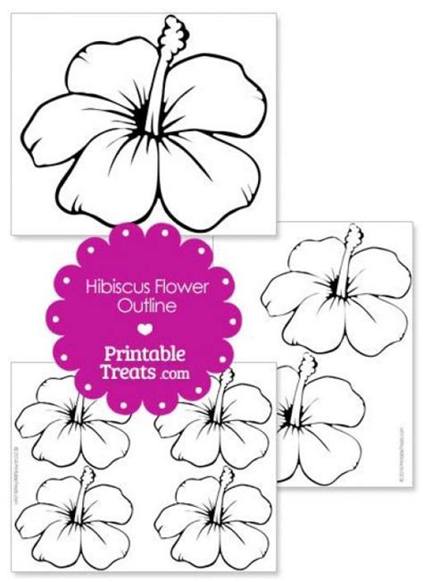 printable hibiscus flower outline  printabletreatscom hibiscus