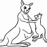 Kangaroo Colorare Canguru Kolorowanka Canguri Kangaroos Canguro Saltando Disegno Mamma Supercoloring Mamãe Disegnare Tudodesenhos Piccolo Sheets Mamydzieci sketch template