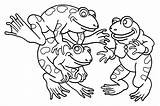 Frogs Coloriage Frog Grenouille Frong Grenouilles Coloriages Justcolor sketch template