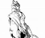 Coloring Pages Catwoman Cat Batman Act Stunning Women sketch template