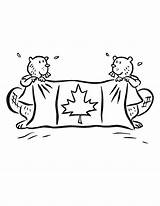 Canada Coloring Flag Pages Beavers Holding Two Netart sketch template