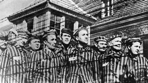 How The Nazis Tried To Cover Up Their Crimes At Auschwitz History