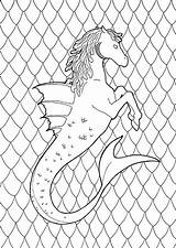 Colouring Etsy Horse Mythical Adult Beasts Hippocampus Fantasy Sea Coloring sketch template