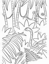 Selva Jungle Animales Dibujo Colorir Coloriage Gratis Supercoloring Paisagem Escena Foresta Landschaft Desenhos Mountains Animaux Tramonto Floresta Entrenamiento Kolorowanka Amordepapeis sketch template