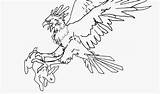 Harpy Eagle Coloring 09kb 1353 sketch template