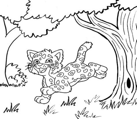 fun baby jaguar coloring pages  kids coloring pages