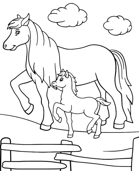 horse  colt coloring sheet page