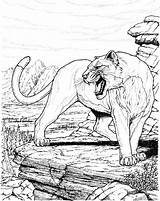 Panther Animal Ausmalbilder Panthers Gepard Seuss sketch template