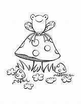 Toadstool Toad Amanita sketch template