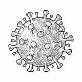 Bacteria Drawing Viruses Celula sketch template