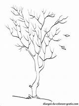 Herfst Bomen Kleurplaat Tekenen Kleurplaten Autunno Albero Trees sketch template