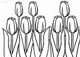 Tulip Coloring Pages Printable Tulips Print Large Cool2bkids Kids sketch template