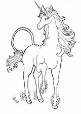 Unicorn Coloring Pages Last Drawing Line Drawings Printable Dragon Fantasy Unicorns Maverick Tail Deviantart Color Horses Realistic Dragons Template Sketch sketch template