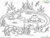 Preschool Frogs Cliparts Education Estanque Habitats Estanques Colorier Leerlo étang Draw sketch template