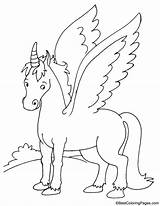 Realistic Pegasus Coloring Pages sketch template